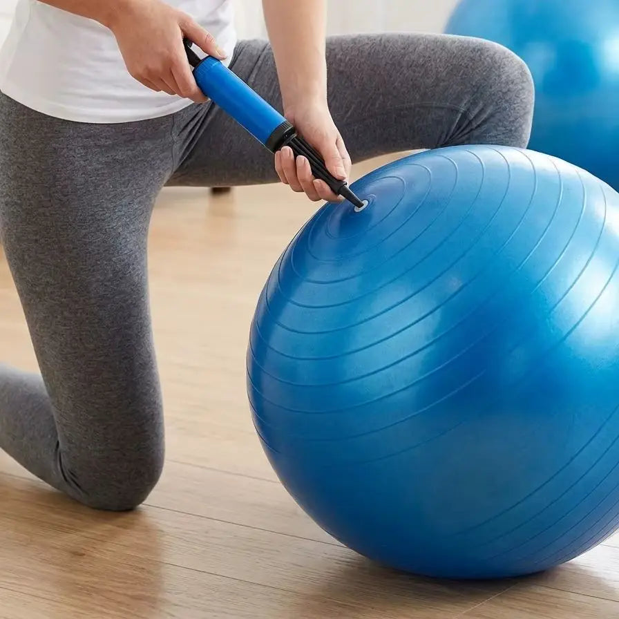 65CM Gym Ball with Hand Pump Anti Burst Exercise Yoga Balance Ball for Home Gym Fitness Workout