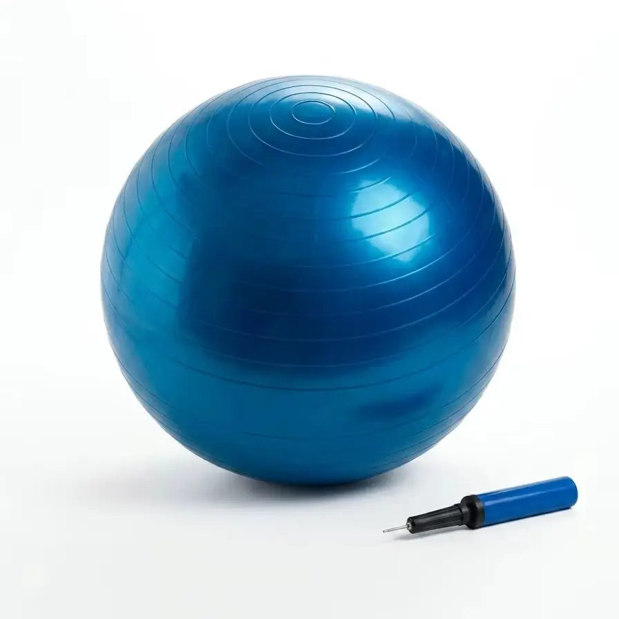 65CM Gym Ball with Hand Pump Anti Burst Exercise Yoga Balance Ball for Home Gym Fitness Workout