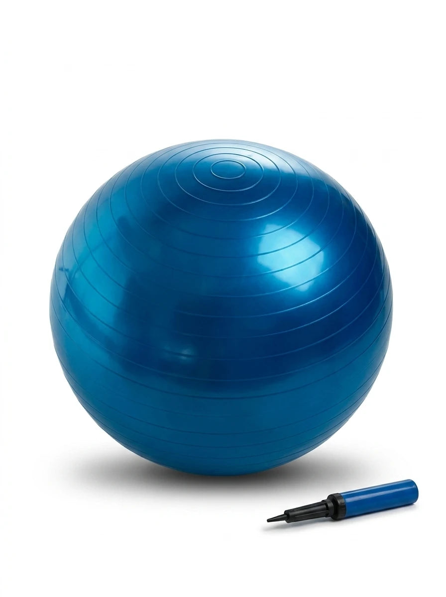65CM Gym Ball with Hand Pump Anti Burst Exercise Yoga Balance Ball for Home Gym Fitness Workout