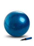 65CM Gym Ball with Hand Pump Anti Burst Exercise Yoga Balance Ball for Home Gym Fitness Workout